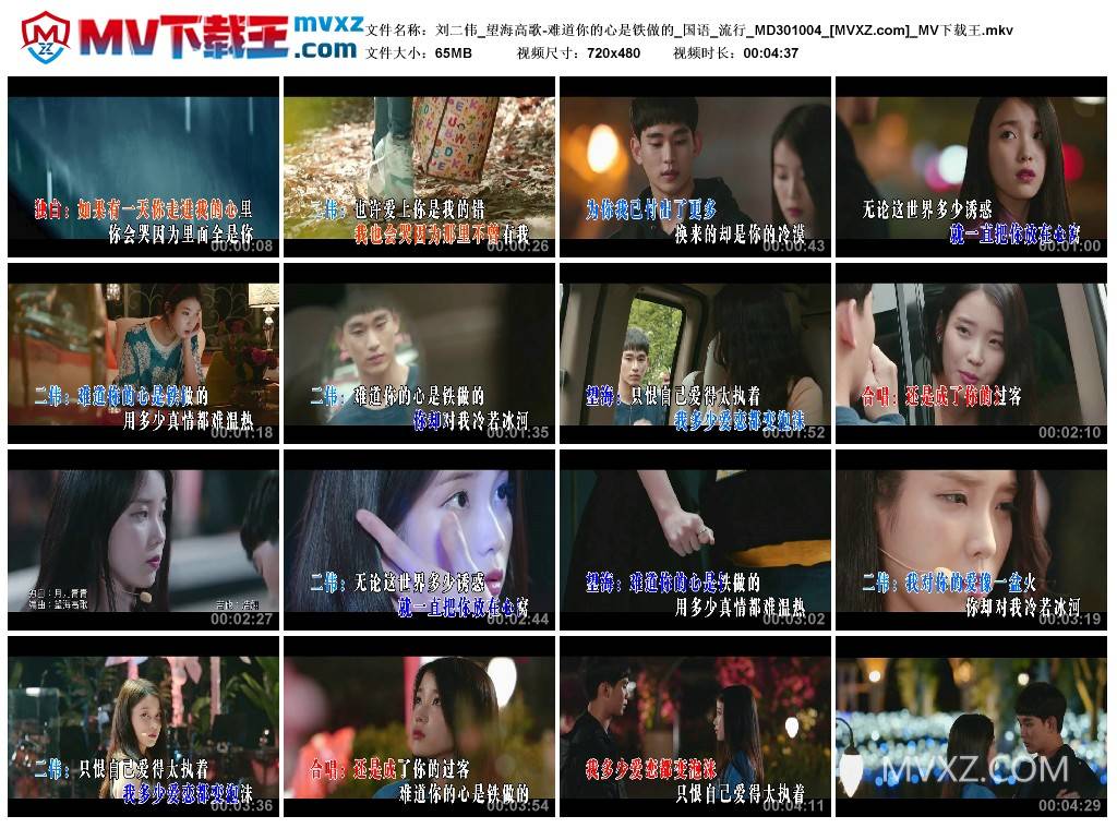 刘二伟_望海高歌-难道你的心是铁做的_国语_流行_MD301004